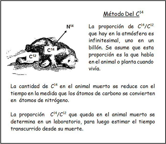 Estimación De La Época En Que Vivió Un Animal O Planta